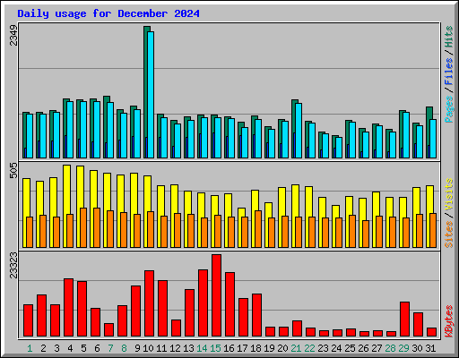 Daily usage for December 2024