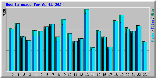 Hourly usage for April 2024