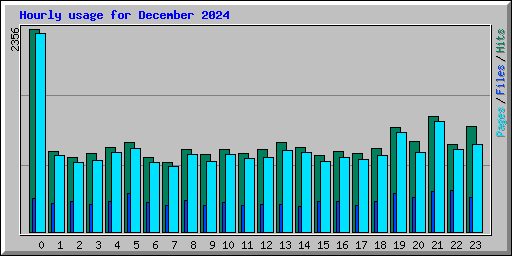 Hourly usage for December 2024