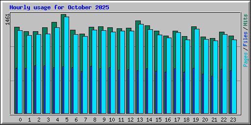 Hourly usage for October 2025