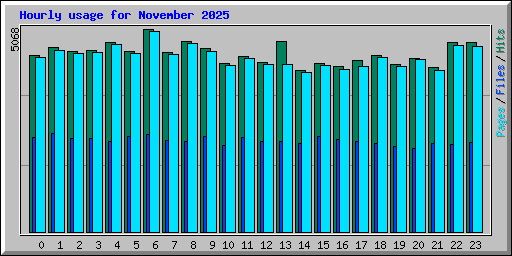 Hourly usage for November 2025