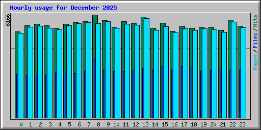 Hourly usage for December 2025