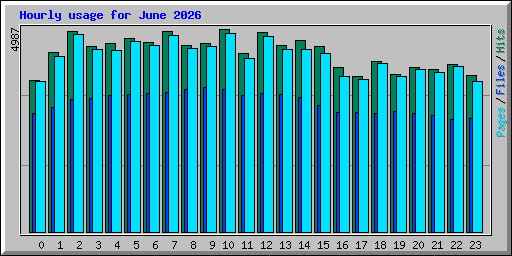 Hourly usage for June 2026